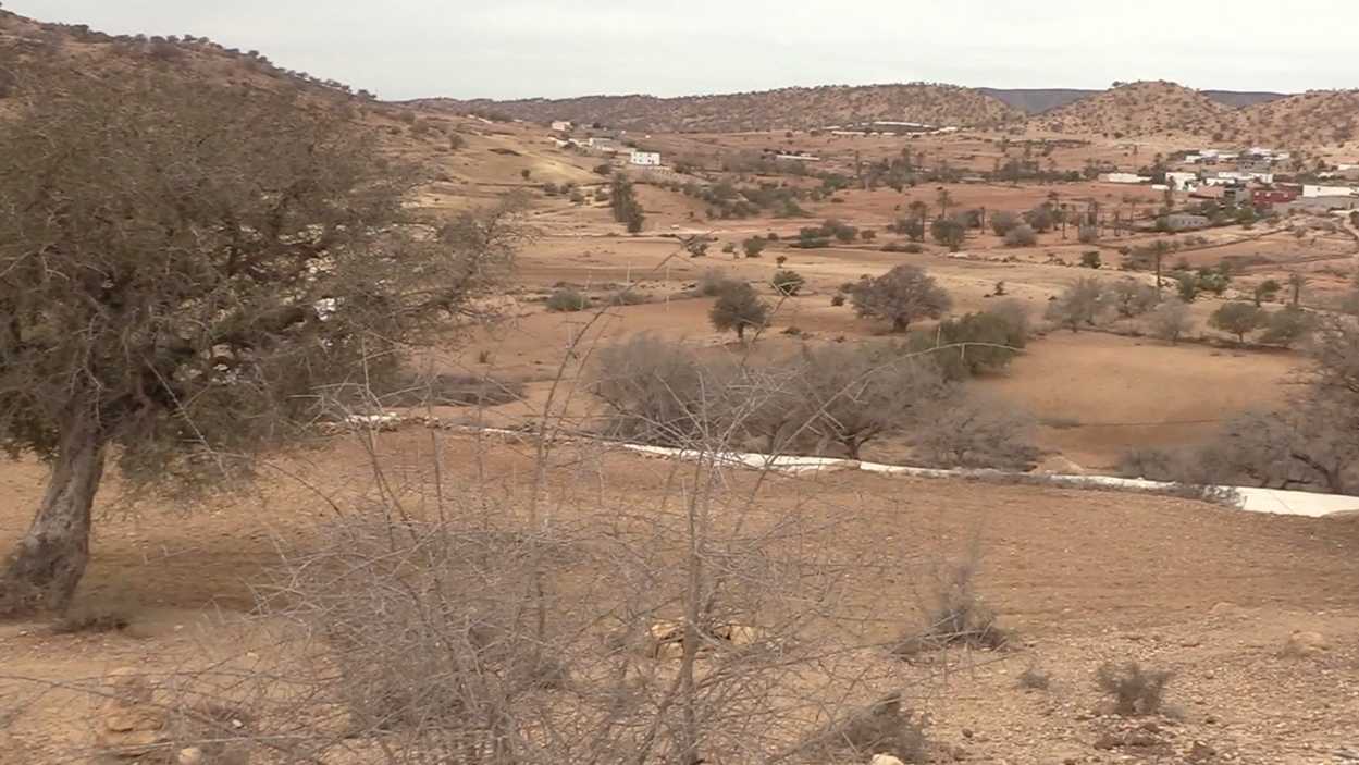 التحديات البيئية بالمغرب…جهود مستمرة في مكافحة التصحر والجفاف ..