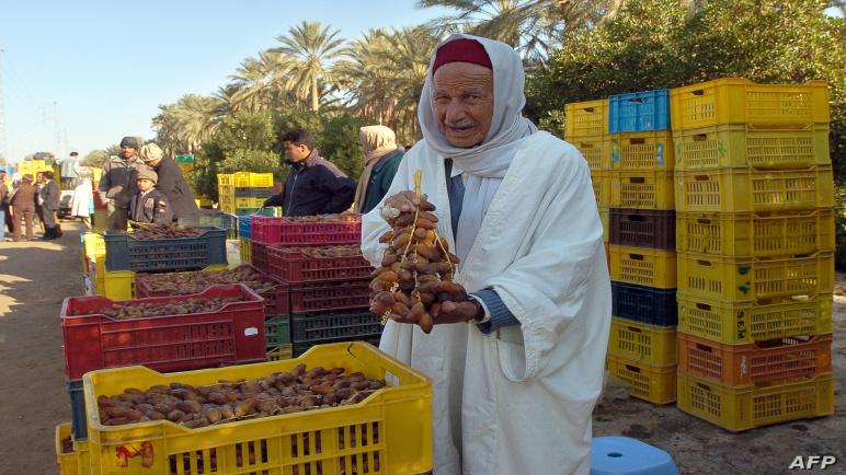 تونس…التمور تتصدر الأسواق العالمية والمغرب في الطليعة.