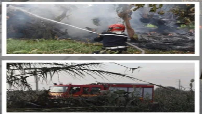 إطلاق سراح الكاتب الإقليمي لحزب التقدم والاشتراكية PPS ، على خلفية حريق مزارع اتبان بتزنيت.