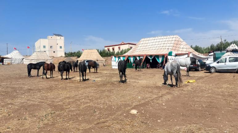 سيدي حجاج تتزين لاستقبال مهرجان التبوريدة