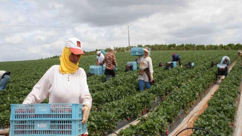 تحديث سوق الفواكه والخضروات في المغرب… نحو تنظيم فعّال وتعزيز التسويق